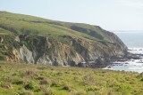 Tomales Point Trail.jpg