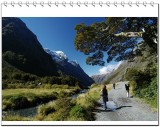 In the Milford Road