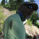 Salmonfly Greetings on the Blackfoot