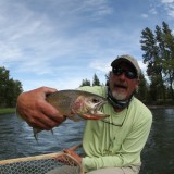 Representative Sample, Blackfoot River Cuttie