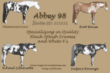 Abbey98-12-31-15-revision-2.jpg