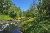 IMG_1496BB1W.jpg