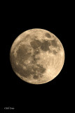 Blood Moon: Total Lunar Eclipse viewed from Houston, TX.