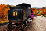 COG RAIL-2288.jpg