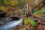 RICKETTS GLEN BRIDGE_0685.jpg