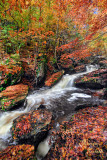RICKETTS GLEN CASCADING FALLS_0897.jpg