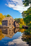 YATES MILL_0471.jpg