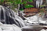 McCONNELLS STATE PARK WATERFALL_2409.jpg