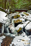 McCONNELLS STATE PARK_2320.jpg
