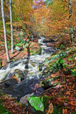 RICKETTS GLEN_0891.jpg