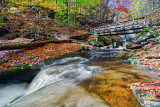 RICKETTS GLEN BRIDGE_0907.jpg