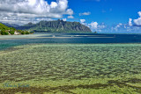 KOOLAU MOUNTAIN RANGE FROM KENEOHE_9560.jpg