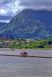 KENEOHE VIEW-KOOLAU MOUNTAIN_7787.jpg