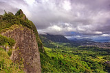 PALI LOOKOUT_9533-.jpg