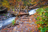 RICKETTS GLEN BRIDGE_0680.jpg