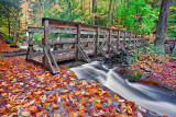 WHERE THE WATERS MEET FOOT BRIDGE_0725.jpg