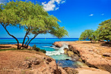 WEST COASTLINE OAHU_9516.jpg
