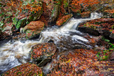 RICKETTS GLEN RAPIDS_0898.jpg