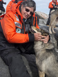 Meggi on puppy island with Greenland sled dogs