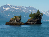 P6256167 - Rock Islands, Prince William Sound.jpg