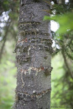 DPP_02721.JPG