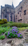 Edinburgh Castle Abbey