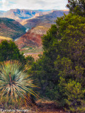 Salt River Canyon