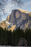 Half Dome Meadow