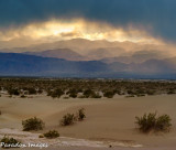 The Edge Of The Dunes