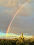 Sunrise Rainbow