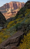Sunset granite and flowers - River Mile 96.5