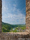 Window with a view