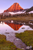 Mt Reynolds Reflection