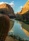 View upstream from Whitmore Wash  - River Mile 188.4