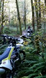 TE250 2017 and 2015 Ride Comparison