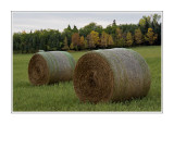 Hay Bales