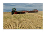 Harvest in Saskatchewan