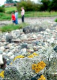 Solid as a rock