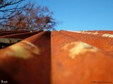 Crisp blue autumn sky