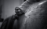 Horse Armor Detail<br>(NYC_081814-292-1.jpg)