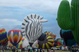 Just a few of the inflating balloons