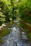 Stream At Fillmore Glen State Park