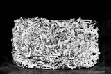 In The Shredder