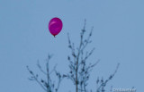 Red Balloon