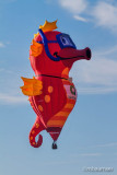 2015 Balloon Festival 95668