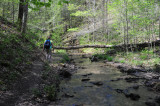 Hiking along a babbling creek