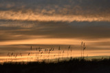 Sunset at Huntington Island State Park, SC