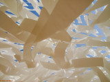 P8290922-1.jpg