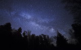 Milky Way High in the Black Forest