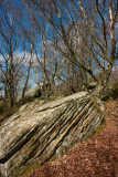 Brimham Rocks IMG_4818.jpg